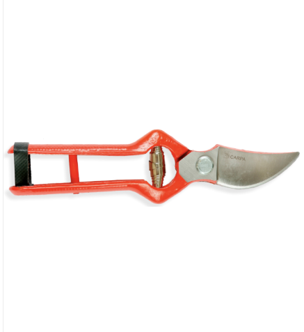 TIJERA CARPA PODAR FORJADA N 01A24L 24 CMS.